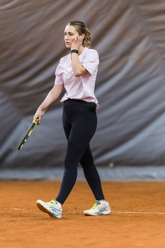 Bild 423 - HL THC von Horn und Hamm - Marienthaler THC : Ergebnis: 5:1